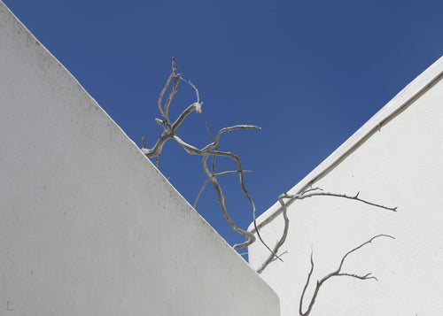Human geometry. Rebellious nature. Amorgos. Greece.